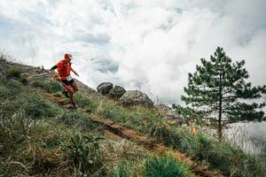 BIB: 
                            <button type="button" onclick="openModal(25999153)" class="btn btn-primary btn-sm float-right btn-popup" data-toggle="modal" data-target=".modal-high-quality">
                        <i class="fas fa-shopping-cart"></i> Add to Cart
                    </button>
                                            <button type="button" onclick="isThisMe(25999153, true)" class="btn btn-success btn-sm float-right btn-popup btn-isme hidden" data-toggle="tooltip" data-placement="bottom" title="นี่คือรูปของคุณใช่ไหม คลิกที่นี่เพื่อเอาเข้าอัลบั้ม">
                        <i class="fas fa-plus"></i> Add to album
                    </button>
                    <button type="button" onclick="isThisMe(25999153, false)" class="btn btn-warning btn-sm float-right btn-popup btn-isnotme hidden">
                        <i class="fas fa-ban"></i> Remove from album
                    </button>